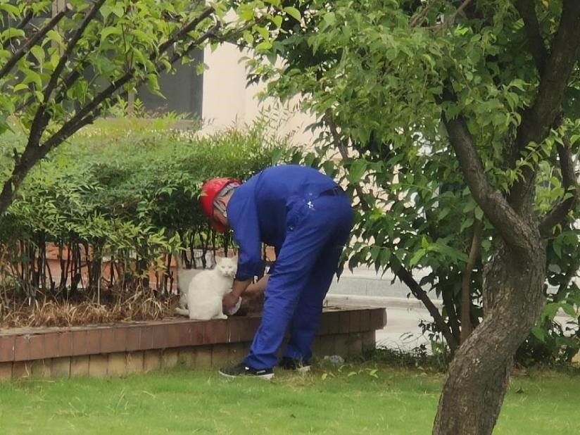 d5b462f0730b0dc671dc63ce3cb8562