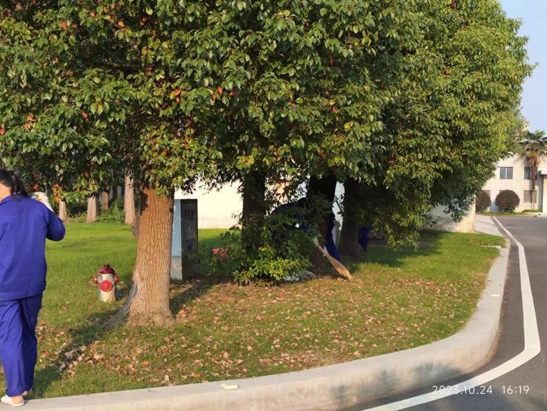 fdf139e14e3a3b597ecee7f74c0b5e2